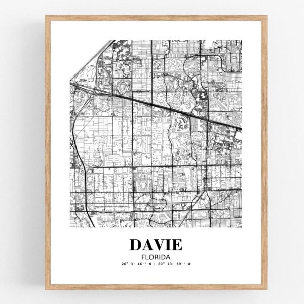 Eleville Unframed Davie Florida City View Abstract Modern Map Art Print Poster Wall Office Home Decor Line Art wgn600