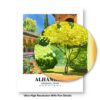 Eleville Unframed Alhambra Granada Spain World Tour Travel Family Vacation Art Print Poster Office Home Decor mgn029 - Image 8